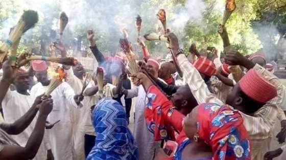 Defection: Kwankwaso's supporters in jubilant mood, set brooms ablaze (photos, video)