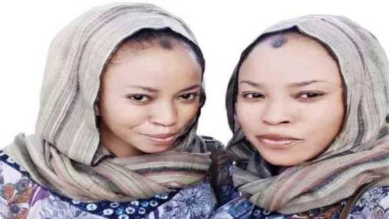 Dandalin Kannywood: Mazajen aure muke nema - inji Gimbiya da Sa'adatu na Dadin Kowa