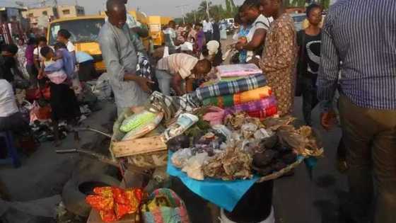 Kogi, Kwara most expensive states for food as rising energy pushes Inflation rate to 8-month high