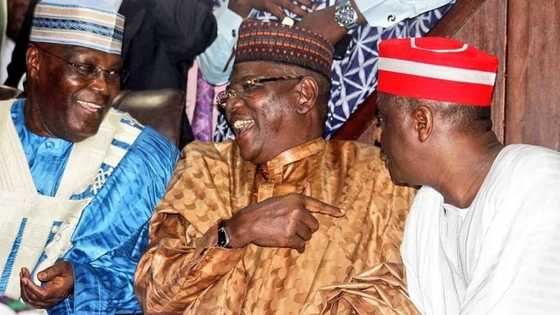 Atiku, Lamido, Shekarau, Kwankwaso da Dankwambo sun yi kicibis wajen daurin auren Makarfi