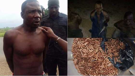 Troops arrest 2 illegal arms dealers and cattle rustlers (photos)