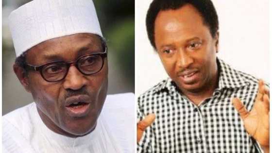 If Buhari's change fails, there will be revolution in Nigeria - APC senator declares