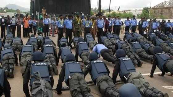Yobe attack: Many girls are missing - Escapee schoolgirl narrates her ordeal