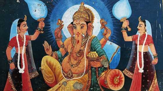 Kimiyya: Shin ina ne asalin dan-Adam, kuma meye alakarsa da sauran halittun duniya?