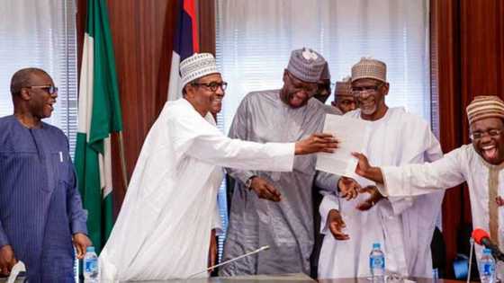 2019: Jam'iyyar APM ta amince da Buhari a matsayin dan takarar shugaban kasa