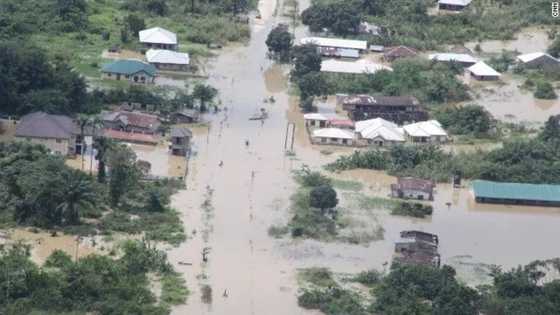 Flooding: Medical support provided to 199 LGAs in 25 state, says Minister