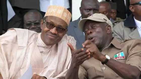 Here are 5 important reasons Buhari backs Oshiomole for APC chairmanship