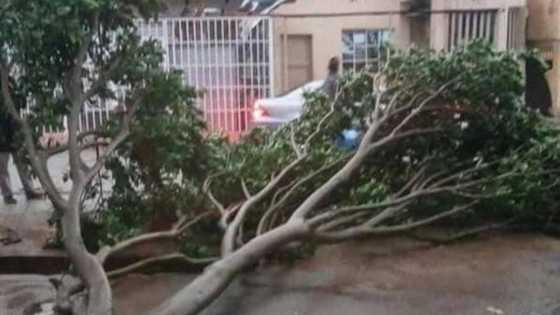 President Buhari sends delegation to Bauchi state over windstorm disaster