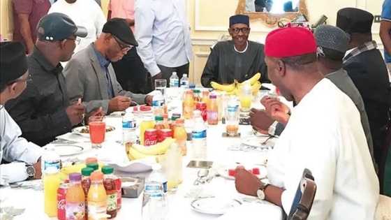Why Fayose was not picked, 4 other facts about London visit to Buhari
