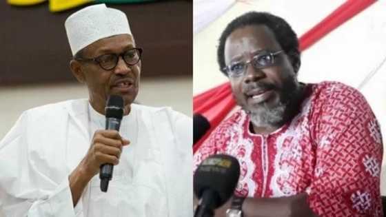 Adeniran commends Buhari over new honour, warns Nigerians ahead of 2019 election