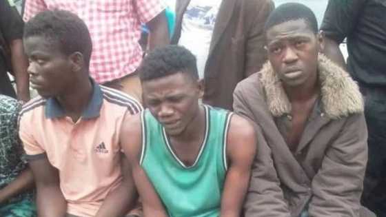 'Yan kungiyar asiri sunzo hannu, sun zayyana yadda suke aika aikarsu
