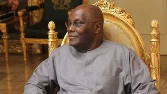 2019: Atiku pushes presidential ambition forward, gets 5m youths in Adamawa to support him