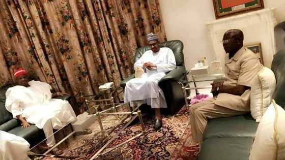 2019: Shugaba Buhari na kokarin hana Kwankwaso tserewa daga APC