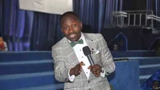 2019: An Igbo president may be solution to Nigeria's problems - Apostle Suleman opens up