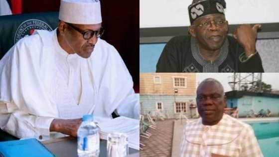 Those against Tinubu already working to ensure Buhari’s defeat in 2019 - APC chieftain alleges