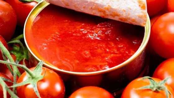 5 CRITICAL reasons why you should better stop cooking with canned tomato paste