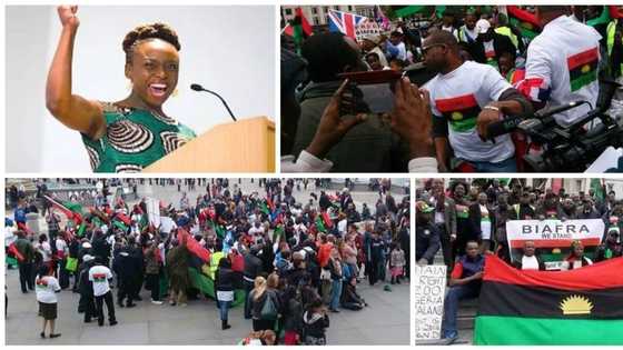 Civil war: Prominent Nigerian novelist, Chimamanda Ngozi Adichie, 11 professors to storm Washington for Biafra remembrance