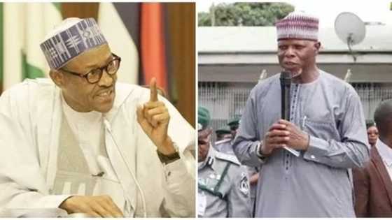 Why Buhari should call customs boss Hameed Ali to order – OPC leader
