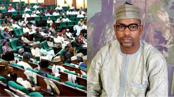 They are 'political prostitutes and ingrates' - APC lawmaker blasts colleagues for defecting to PDP