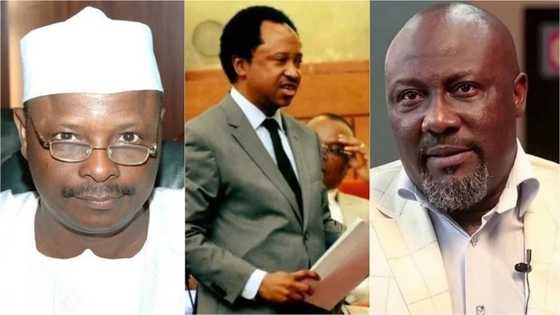 Tirka tirkan zabukan 2019: Fitattun Sanatoci guda 5 da suka sa zare da gwamnonin jihohinsu