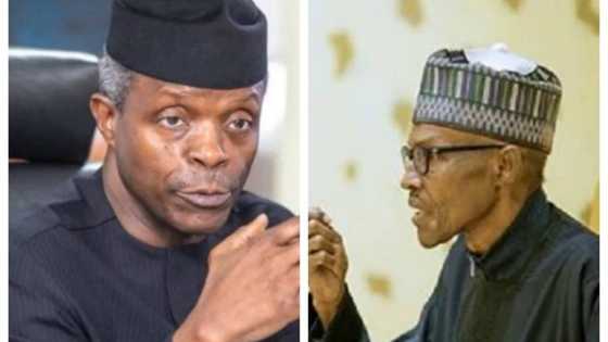Acting president or coordinating president? Osinbajo speaks about content of Buhari’s letter to senate