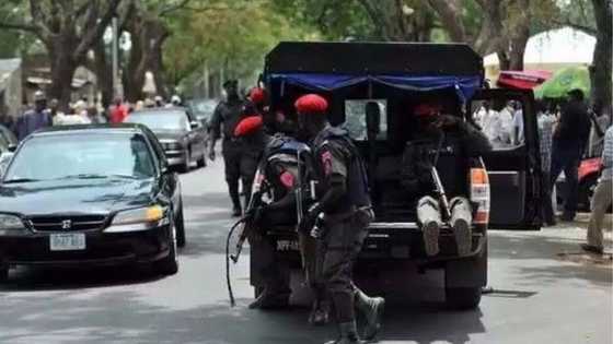 Armed robbers kill PDP chieftain, 4 others in Zamfara