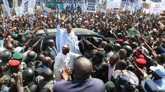 Zaben 2019: Shugaba Buhari zai doke Kwankwaso a Kano inji Hadimin Shugaban kasa