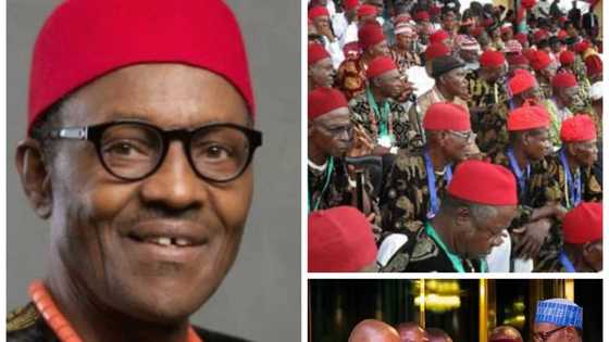 If Buhari dies, the Igbos will be the biggest losers