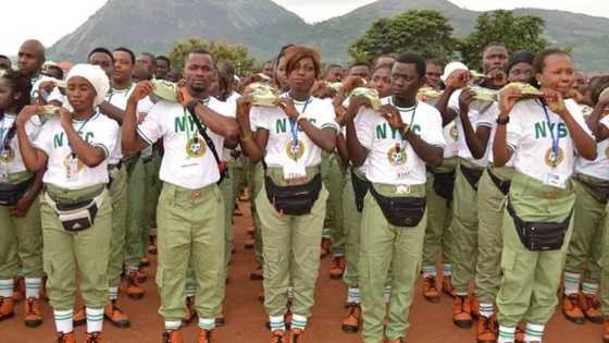 Step-by-step guide on completing NYSC certificate number verification