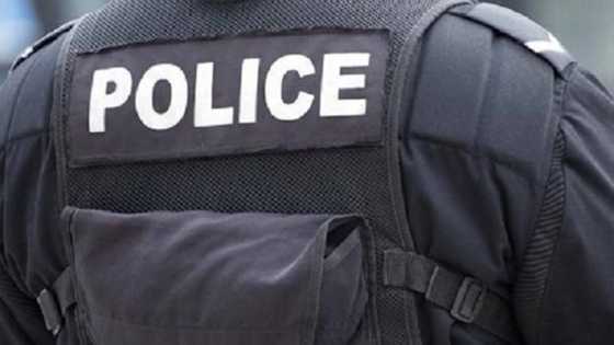 Force HQ to Nigerians: No policeman should demand customs papers, tinted glass permit from you