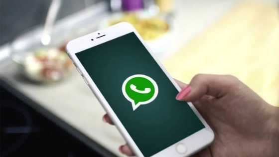 Jerin wayoyi 20 da ke bukatar inganta zubin kwakwalwa saboda matsala da WhatsApp