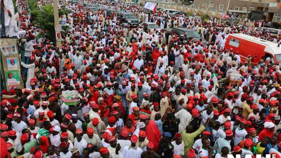 Bidiyon yadda taron Kwankwaso ya tokare Abuja