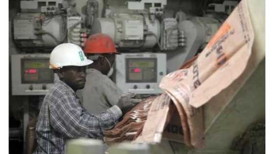 How we were humiliated, victimised by Dangote’s company – Truck officer revealed