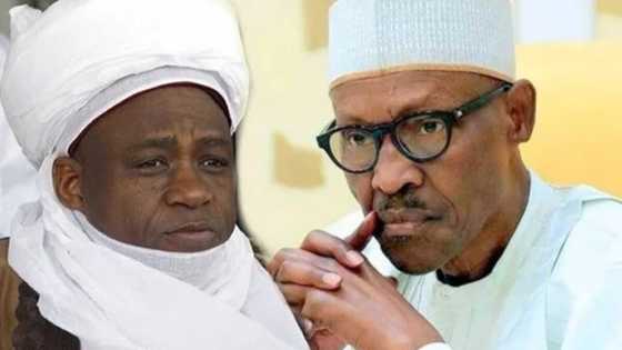 Sarkin Musumi ya bayyana yadda za a tabbatar da nasarar Shugaba Buhari a Zaben 2019