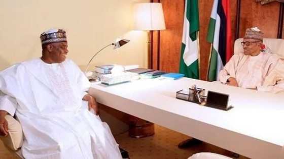 Ra'ayi: Tambuwal da Wamakko basa adawa da Shugaba Buhari