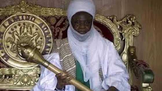 Kar ku zabi Atiku a 2019 - Dan Lamidon Adamawa