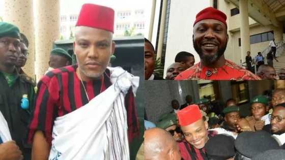 EXCLUSIVE: Why I stand with Nnamdi Kanu - Former minister Osita Chidoka