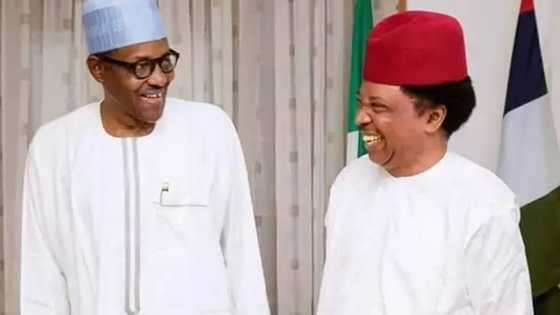 Shehu Sani faults Buhari’s call for relocation of US Defence Command HQ to Africa
