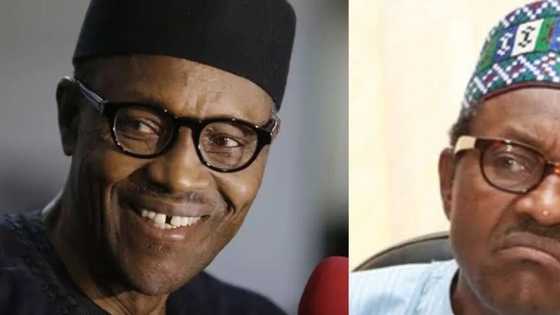 Should Nigerians angelise or demonise President Buhari?