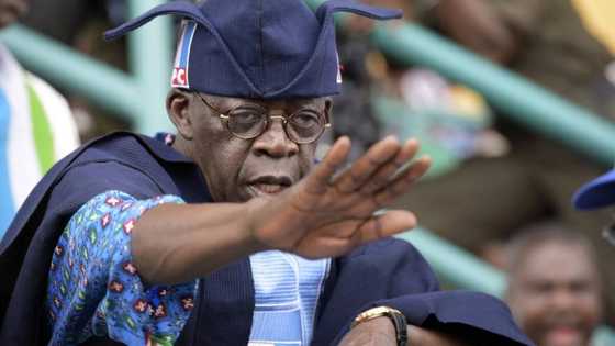 2023: Court orders INEC to respond to fresh suit seeking to disqualify Bola Tinubu
