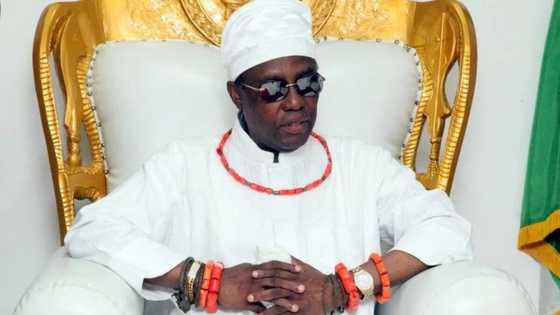 Oba’s curse takes effect as trafficker dies from 'mysterious' illness, dead bodies of 2 robbers discovered after operation