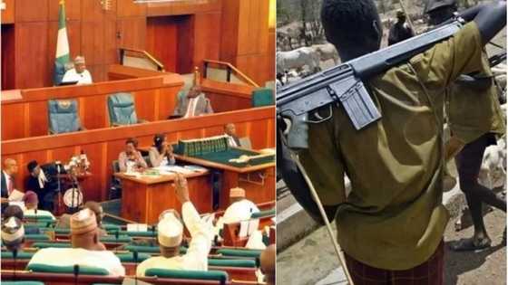 An kashe mutane 24 a wata sabuwar harin da makiyaya suka kai Binuwai - Majalisa