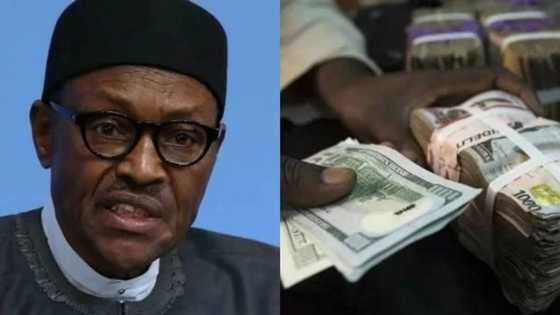 JUST IN: Naira rebounds against pound, firms against dollar