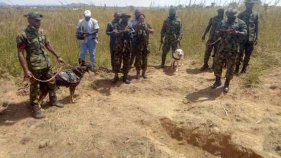 An gano gawar mutane 180 a wani kabari a kauyen Djibo