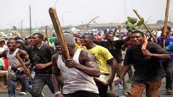 Fusatattun jam'an gari sun sheƙe wani ɗan leken asirin yan bindiga da iyalansa a Kaduna