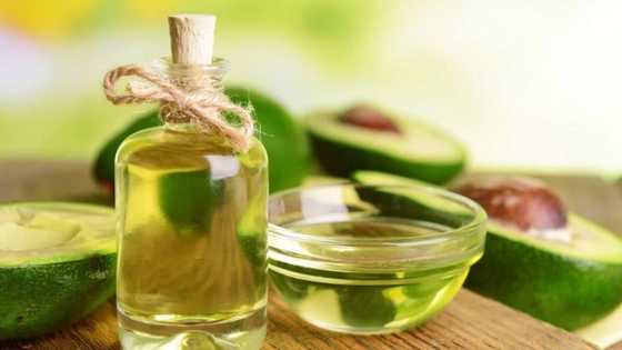 Industrial and home ways of extracting avocado oil