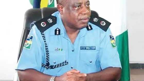 What we discovered with Nnamdi Kanu’s boys - Police commissioner makes revelations
