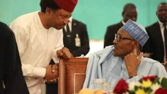 State police: Why I support Buhari's position - PDP chieftain