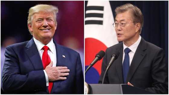 Donald Trump deserves Nobel Peace Prize - South Korea’s president