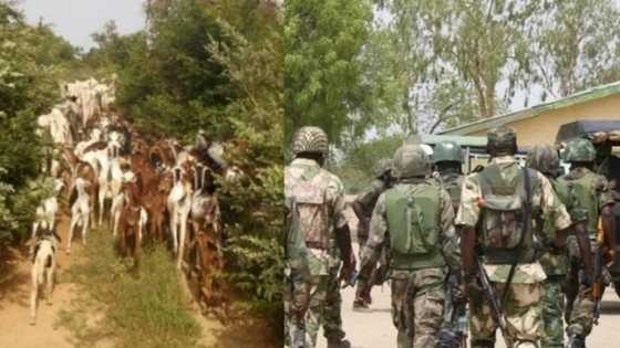 Sai ran Hausawa 120 ya salwanta idan aka kashe Bafulatani 1 – Wasu yan bindiga sun yi wa gwamnati raddi